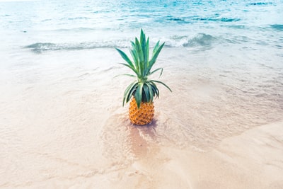 白天海滩上的菠萝果实